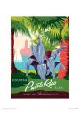 Piddix Puerto Rico - plakat premium 30x40 cm