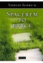 eBook Spacerem po etyce pdf