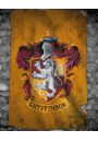 Harry Potter Gryffindor - plakat 40x50 cm