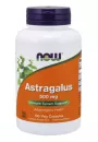 Now Foods Astragalus 500 mg suplement diety 100 kaps.