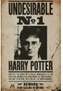 Harry Potter Poszukiwany - plakat 61x91,5 cm