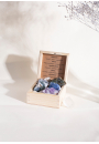 Zestaw Kamieni w pudeku CrystalBox Meditation - Medytacja