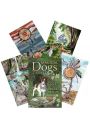 Magical Dogs Tarot