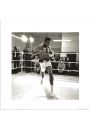 Muhammad Ali Spar - plakat premium