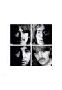 The Beatles white album - plakat premium 40x40 cm