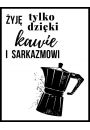 Sarkazm - plakat 21x29,7 cm