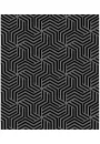 Zener Cards, Karty Zenera