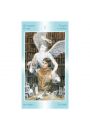 Tarot of the Angels, Tarot Aniow