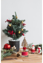 Cocodor wieca zapachowa Christmas Pine&Cedarwood PCA30464 140 g