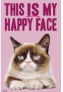 Grumpy Cat Happy face - plakat 61x91,5 cm