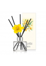 Cocodor Dyfuzor zapachowy Daffodil Deep Musk PDI30935 120 ml