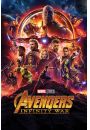 Avengers Infinity War Bohaterowie - plakat 61x91,5 cm