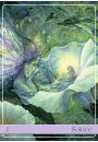 Angelic Vibrations, karty do wrenia