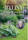Byliny: roliny na lata. Zaprojektuj wymarzon rabat