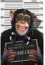 The Chimp Mapa w Wizieniu - plakat
