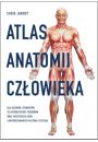 Atlas anatomii czowieka
