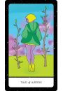 Rainbow Moon Tarot, karty