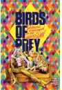Birds of Prey Ptaki Nocy hiena Harley Quinn - plakat 61x91,5 cm