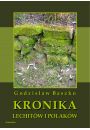 eBook Kronika Lechitw i Polakw pdf