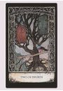 Tarot of Tales, zestaw kart do wrenia w pudeku