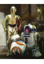 Star Wars Gwiezdne Wojny - Roboty - plakat 40x50 cm