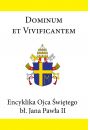 eBook Encyklika Ojca Świętego bł. Jana Pawła II DOMINUM ET VIVIFICANTEM mobi epub
