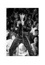 Elvis Presley 68 Comeback Special - plakat premium 40x50 cm