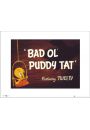 Tweety Bad Ol Puddy Tat - plakat premium 40x30 cm