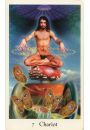 The Cosmic Tribe Tarot, karty do wrenia