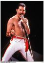 Queen Live Los Angeles 1982 - plakat 59,5x84 cm