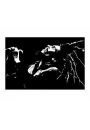 Bob Marley B&W - plakat premium 50x40 cm