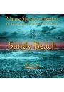 (e) Sea Waves vol. 2: Sandy Beach