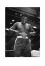 Muhammad Ali Belt - plakat premium 60x80 cm