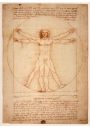 Anatomia Leonardo da Vinci - plakat 40x50 cm