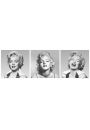 Marilyn Monroe Tryptyk - plakat 91,5x30,5 cm
