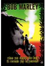 Bob Marley Zioo - plakat 61x91,5 cm