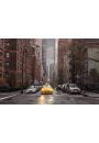 Nowy Jork Taxi Assaf Frank - plakat 91,5x61 cm