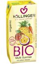 Hollinger Napj wieloowocowy z marchwi 200 ml Bio