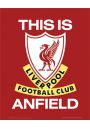 FC Liverpool This Is Anfield - Godo Klubu - plakat 40x50 cm