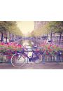 Amsterdam Wiosn Rower wrd Kwiatw - plakat