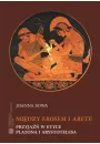 eBook Midzy Erosem a Arete. Przyja w etyce Platona i Arystotelesa pdf