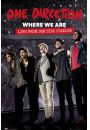 One Direction Where We Are - plakat 61.0 x 91,5 cm