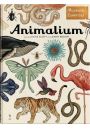 Animalium. Muzeum Zwierzt