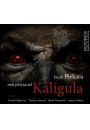 Audiobook Mj przyjaciel Kaligula. Ksiaka audio CD