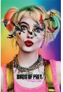 Birds of Prey Ptaki Nocy i fantastyczna emancypacja pewnej Harley Quinn - plakat 61x91,5 cm