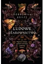 eBook Ludowe czarownictwo. Magiczne tradycje, praktyki i wierzenia z polskiego folkloru mobi epub