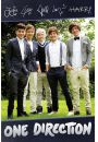 One Direction Autografy - plakat