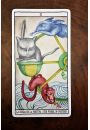 Tarot The Cats by Fournier