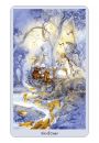 Shadowscapes Tarot, karty do wrenia i ksika