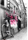 Pary - Rowe Kwiaty na Rowerze - plakat 61x91,5 cm
